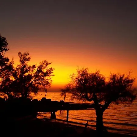 Campsite Happy Camp Mobile Homes In La Vecchia Torre *